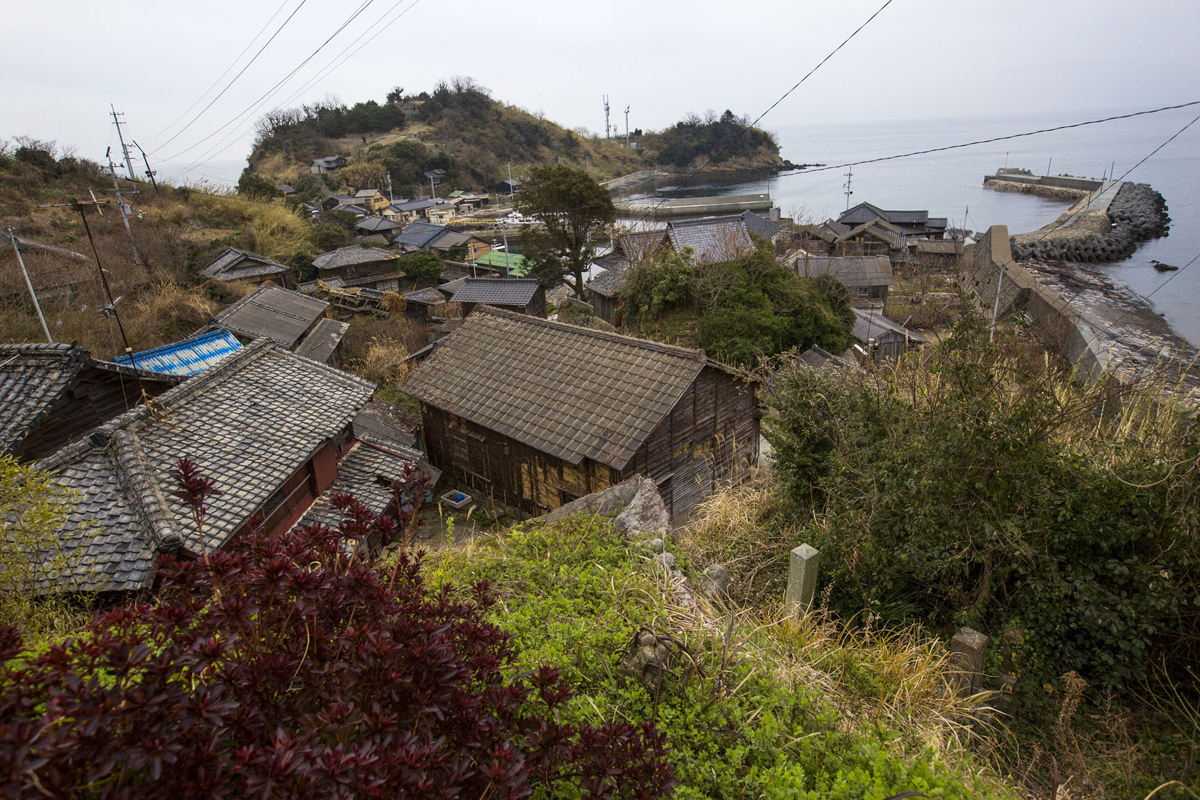 Aoshima, una isla gobernada por gatos (7)