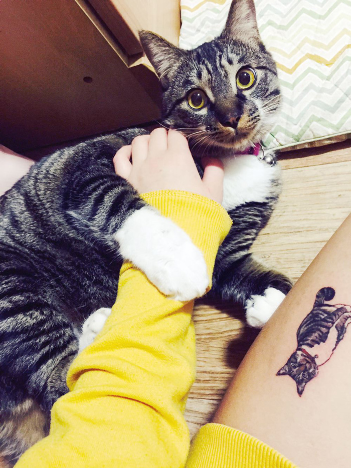 Tatuajes de gatos, muchos duenos los tienen (6)